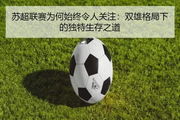 苏超联赛为何始终令人关注：双雄格局下的独特生存之道